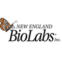 New England Biolabs