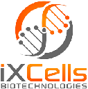 iXCells Biotechnologies