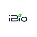 iBio